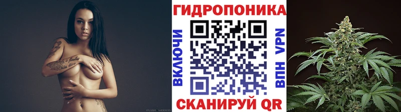 Все наркотики Кемь Марихуана Alpha-PVP МЕФ