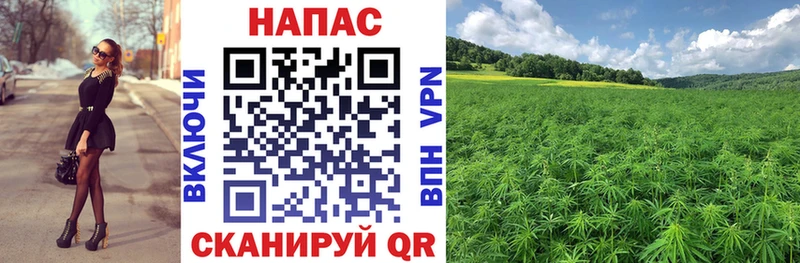 Марихуана OG Kush  Кемь 